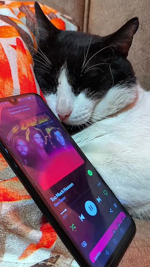 Exploring Bee Gees' Timeless Love Songs