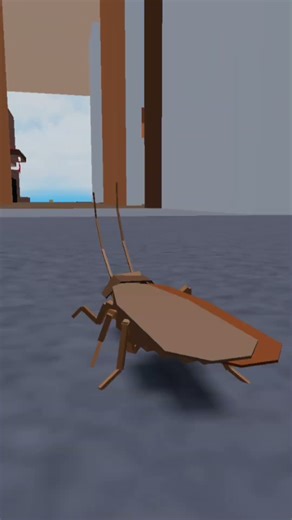 What is this guy doing on the calculator?