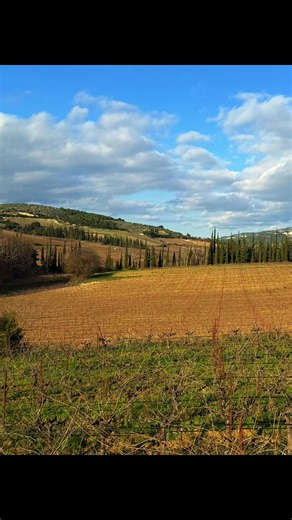 Οι αμπελώνες της Νεμέας είναι όμορφοι ακόμα και τον χειμώνα!! #winesofpeloponnese #visitpeloponnesse #pdonemea #agiorgitiko