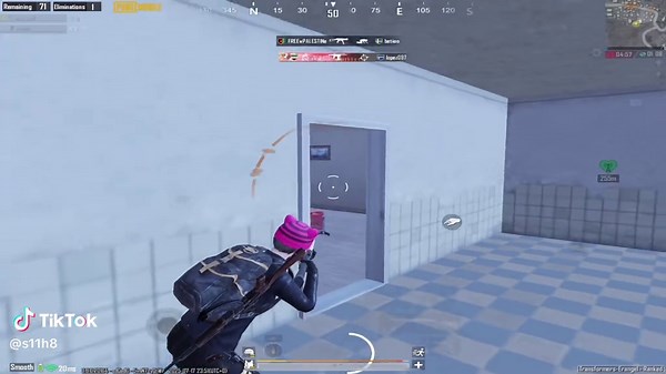 CULTURA - Adorable Haul Video Featuring Shell Collectibles