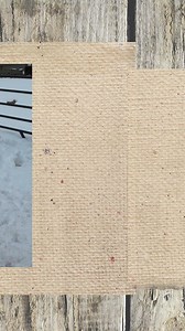 Take a break and watch a pony slideshow of Snow, Blossom and Gideon. These ponies love to horse around in the snow! Discover more at https://buff.ly/3tKNJY4 #animalsanctuary #dogs #pony #animal #world #adoptdontshop #wildlife #plantbased #crueltyfree #wildlifephotography #minihorse #animallovers #rescue #farmlife #pun #kindness #horse #animallover #snow #animalsofinstagram #compassion | Ark of Grace Ministry