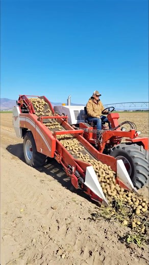 Potato Cultivation Future Technology Machine