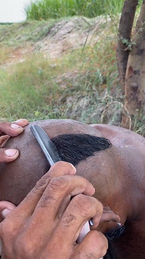 608K views · 2.3K reactions | OMG barber 1$ Hair Cut From professional Barber . #asmr #asmrbroz #asmrshaving #barbershop #barber #asmrshaving #asmrbarber #haircutasmr #shavingasmr #asmrcutting #asmrrealbarber #cuttingasmr #mamashafiquebarber | mrgreedy.village | Facebook