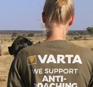 72 reactions · 4 comments | Want to know what it's like to volunteer abroad with vulnerable and endangered animals? Listen to Mollie, Nova and Melanie recount their tales of animal adventure and new experiences at the Namibia Wildlife Sanctuary! Feeling inspired? You’re in luck, secure your place by January 31st and receive 15% off the trip of a lifetime! | The Great Projects | Facebook