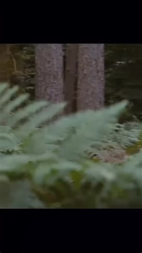 The Best movie on Instagram: "🎬 Old (2021 | Thriller • Mystery • Drama | 1h 48m) 🏝️⏳😱 Old follows a family on a tropical vacation who stumble upon a mysterious secluded beach. At first, it seems like paradise — sun, surf, and relaxation. But they soon discover a horrifying secret: anyone who stays on this beach experiences rapid aging, with the days on the sand compressing years into hours. As time races unnaturally fast, the family struggles to understand the phenomenon, protect the children