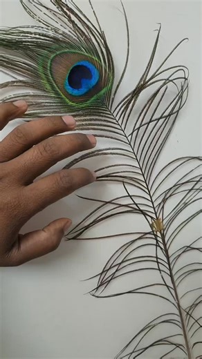 Amol Shende on Instagram