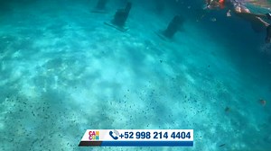 15K views · 515 reactions | Acompáñanos a esta travesía por Isla Mujeres y conoce uno de los mejores club de playa actualmente | Cancún | Facebook