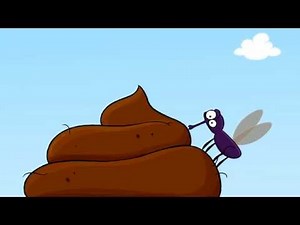 Két légy beszélget