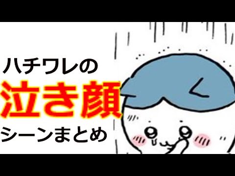 【ちいかわ解説】泣いちゃった！ハチワレの泣き顔シーンまとめ‼︎抱きしめたくなる可愛さ！【最強】
