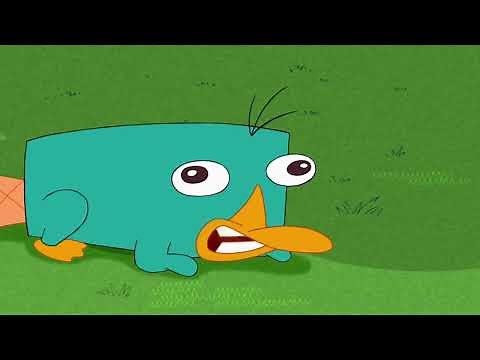 Perry The Platypus Growl 1 Hour