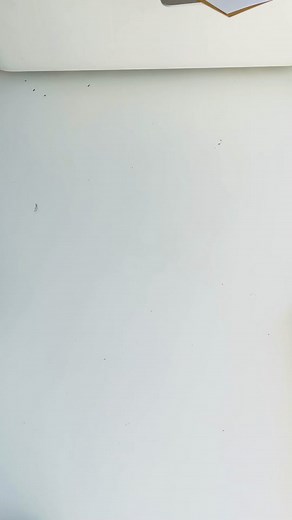 Craft Supplies: Using Your Embossing Machine