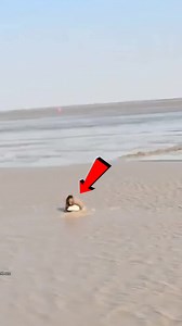 785K views · 9.3K reactions | sukhi nadi me machli pakda #shortsvideo #reelsvideoシ #reelsviralシ #reelstrending #viralreelschallenge #fypシ #explorepage #fb #love #reels #emotional #usa #cute #viralpage | Explain Buzz | Facebook