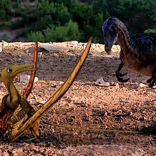 1.8M views · 27K reactions | dinosaur練秊 ----------------------------------------------------------------------------------------- #fypシ #dainosur #dinosaur #dino #jurassicpark #jurassicworld #paleontology #fossils #prehistory #extinction #science #education #learning #nature #animals #wildlife #adventure #travel #photography #art #illustration #design #fashion #culture #history #mythology #PopCulture | Rach | Facebook