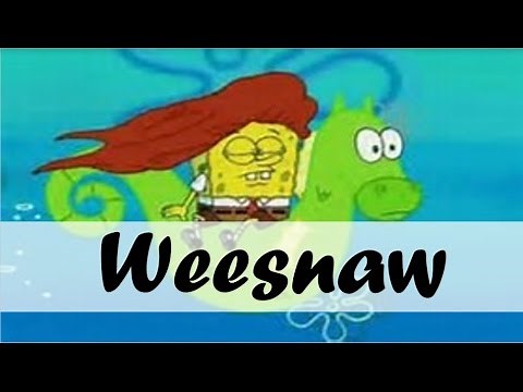 One Hour Loop of: "Weesnaw" from Spongebob