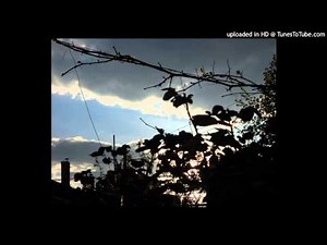 Robert Rich - Interlocking Circles