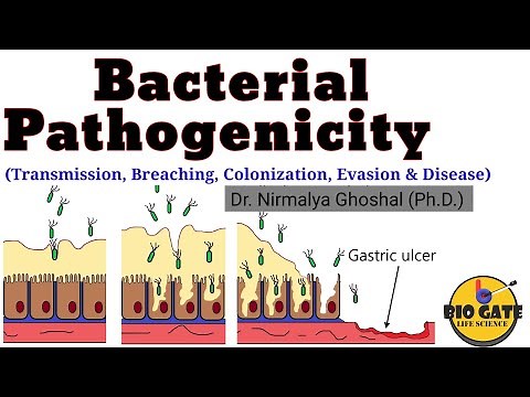 Microbial Pathogenicity and Virulence Factors #pathogenesis