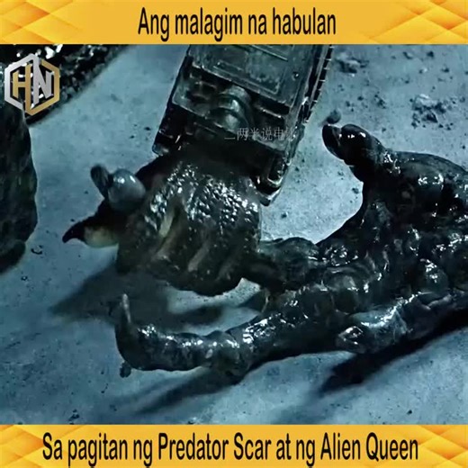 Ang malagim na habulan sa pagitan ng Predator Scar at ng Alien Queen