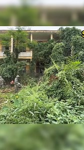 20K views · 364 reactions | Watch the Experts Cleaning the Abandoned School with a Huge Amount of Work Great results P3 #clean #cleaning #cleanup #cleaninghouse #cuttingdowntrees | Epic Cleanup | Facebook