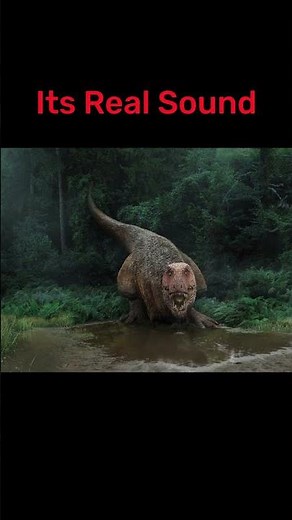 How People Think the T. rex Sounded vs Its Real Sound