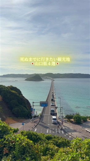 【死ぬまでに行きたい✨】 ＼山口県の絶景スポット4選／ ① 元乃隅神社 ⛩️ 日本海に向かって連なる 「123基の赤い鳥居」が圧巻！ 青い海×赤い鳥居×緑の大地という 絶景コントラストが魅力の神社✨ 📌参拝時間 9:30～16:30 💰料金 参拝無料 💡豆知識 鳥居の数はなんと「123基」！ そして以前話題になった 高さ約6mの大鳥居の上にある賽銭箱は、 「日本一入れにくい賽銭箱」としても知られています。 ※現在は休止中・再開時期未定。 ⚠️【2026年9月22日時点の注意】 現在、鳥居の修繕工事中のため、 鳥居をくぐることができません。 また、2026年3月～11月の土日祝は 参拝休止期間となっています。 ※9月はシルバーウィーク以外の土日は参拝可。 訪問前に最新情報を必ず確認してください。 📍住所 〒759-4712 山口県長門市油谷津黄498 ②秋芳洞 🦇\\ 日本最大級の鍾乳洞のひとつ！ 秋吉台の地下約100mに広がる 圧倒的なスケールの洞窟✨ 洞内の温度は年間を通して約17℃なので、 夏は涼しく、冬は暖かいのもポイント！ 📌営業時間 通常期：9:00～16:30 