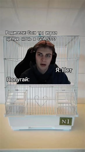 #Meme #memes #gta #gta5 #gtav | gta 5