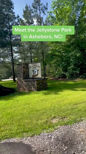 Adventure on over to the Jellystone Park in Asheboro, NC this summer! ☀️🏕️ Fun can be found around every corner at this location between the swimming pool, waterslide, jumping pillow, laser tag course, foam parties, golf cart trails, fishing ponds, and themed weekends more as the park continues to expand. To learn more about the Asheboro, NC location, please follow the link in our bio! #Jellystone #JellystonePark #JellystoneParkTikToks #CampJellystone #YogiBear #Vacation #FamilyVacation #NorthC