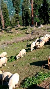 172K views · 8.6K reactions | Beautiful view | Mountains View | Facebook