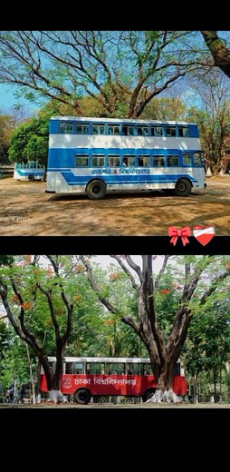 DU naki RU? #dhaka university bus # rajshahi university bus # | Bright path