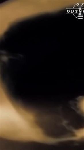 9.2K views · 129 reactions | Mummy's Skull: X-ray Reveals Shocking Brain Removal! | Odyssey - Ancient History | Facebook