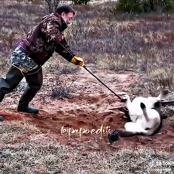 Pessoas que tem um lugarzinho no céu ❤️‍🩹😭 #ajuda #animal #cenatriste #resgate #animals #emocionante #foryou #fyp #viral