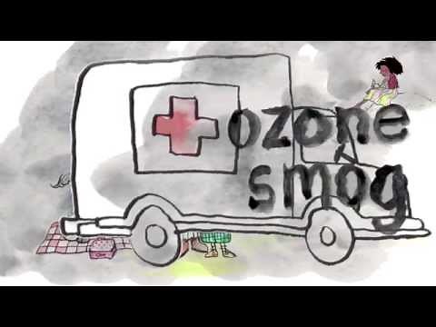 Power Plants and Pollution