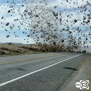 3.9M views · 16K reactions | Tumbleweed twister!  I’ve never seen anything like this giant whirl of tumbleweeds spotted yesterday in Washington. Thank you, 2020. You never cease to amaze me.  : MattMcKnight | ABC13-Travis Herzog | Facebook