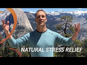 Qigong Shaking for Stress Relief Lee Holden Qi Gong in Relaxing Yosemite Valley