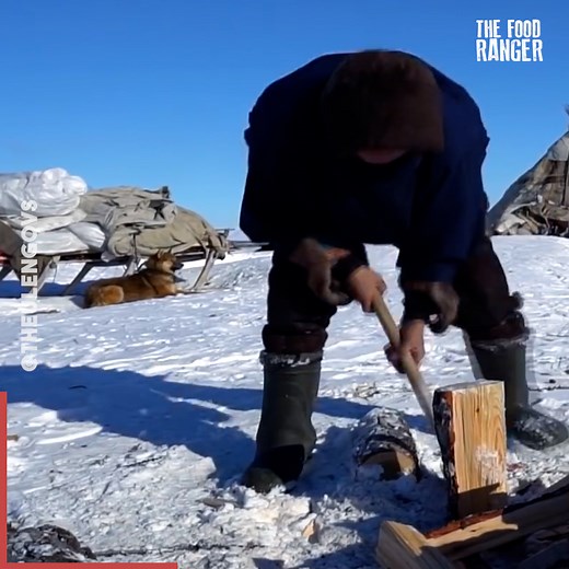 721K views · 5.5K reactions | Amazing cooking in the artic tundra! Thanks to the Ulengovs: https://www.youtube.com/c/OneDayinCountryside | The Food Ranger | Facebook