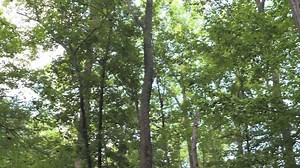 8K views · 223 reactions | Happy #EndangeredSpeciesDay! Join our conservation army. Learn more about the Smithsonian Conservation Biology Institute’s global effort to research, care for, and save endangered species and their habitats. | Smithsonian’s National Zoo and Conservation Biology Institute | Facebook