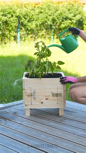 245K views · 619 reactions | Transform Your Outdoor Space with These Epic Crafts! | 5-Minute Crafts | Facebook