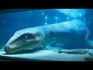 AIがつくる不思議な水族館｜Mysterious AI Aquarium of Ancient Seas & Deep Ocean
