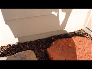 Bored Smashing - GROCERY STORE PHONES! Episode 11 (Cut Scene From A Plainrock124 Video)