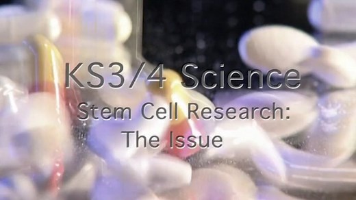 Teachers TV: KS3/4 Science - Stem Cell Research