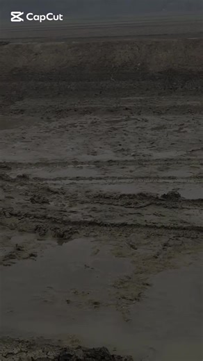 Excavator Operator Skills in Action