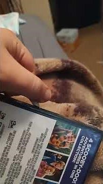 Scooby Doo 4 live action movie dvd collection