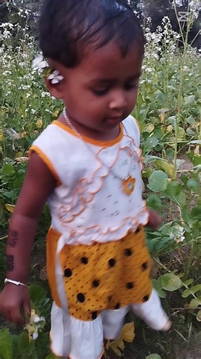 Raton Raj (@raton.raj5)’s videos with original sound - Raton Raj