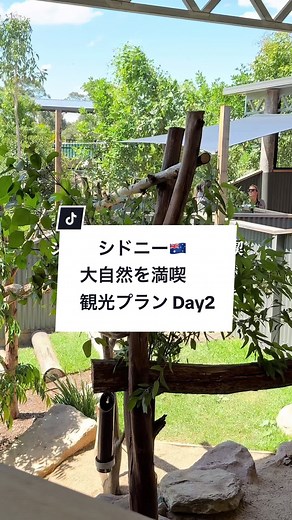 ブルーマウンテンズ：世界遺産に登録された絶景スポット✨