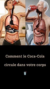 Comment le Coca-Cola circule dans votre corps 🥤 | Animation réaliste en 3D du système digestif #santé #alimentation Dans cette animation réaliste en 3D du système digestif, vous verrez exactement ce qui se passe dans votre corps après avoir bu du Coca-Cola. Dès la première gorgée, observez comment cette boisson sucrée traverse votre bouche, votre estomac et vos intestins, et comment votre corps réagit à sa forte teneur en sucre, en caféine et en acide. Cette animation 3D explique comment le Coc
