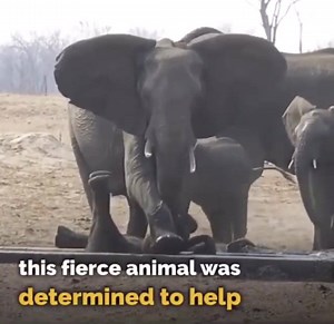 43M views · 1.4K shares | Absolutely amazing display of empathy! ❤️ | Kevin Wesley: Be The Evolution | Facebook