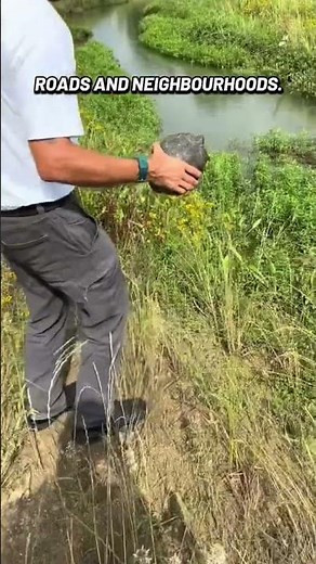 Catch & Release Explained | How Wildlife Relocation Works #CatchAndRelease #therestorationattics