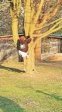 Defying gravity while climbing a tree #extreme #parkour