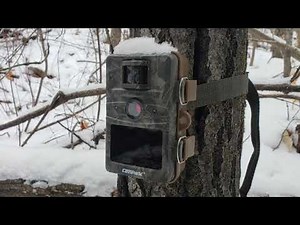 Campark T70 Trail Camera