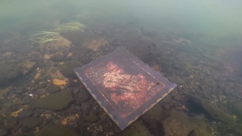 Old Painting, Other Treasures Found Underwater Scuba Diving!