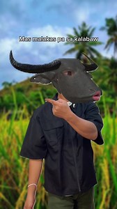 Tagalog-Hindi Usapang Biruan at Pagmamalabis sa Kailangang Respeto